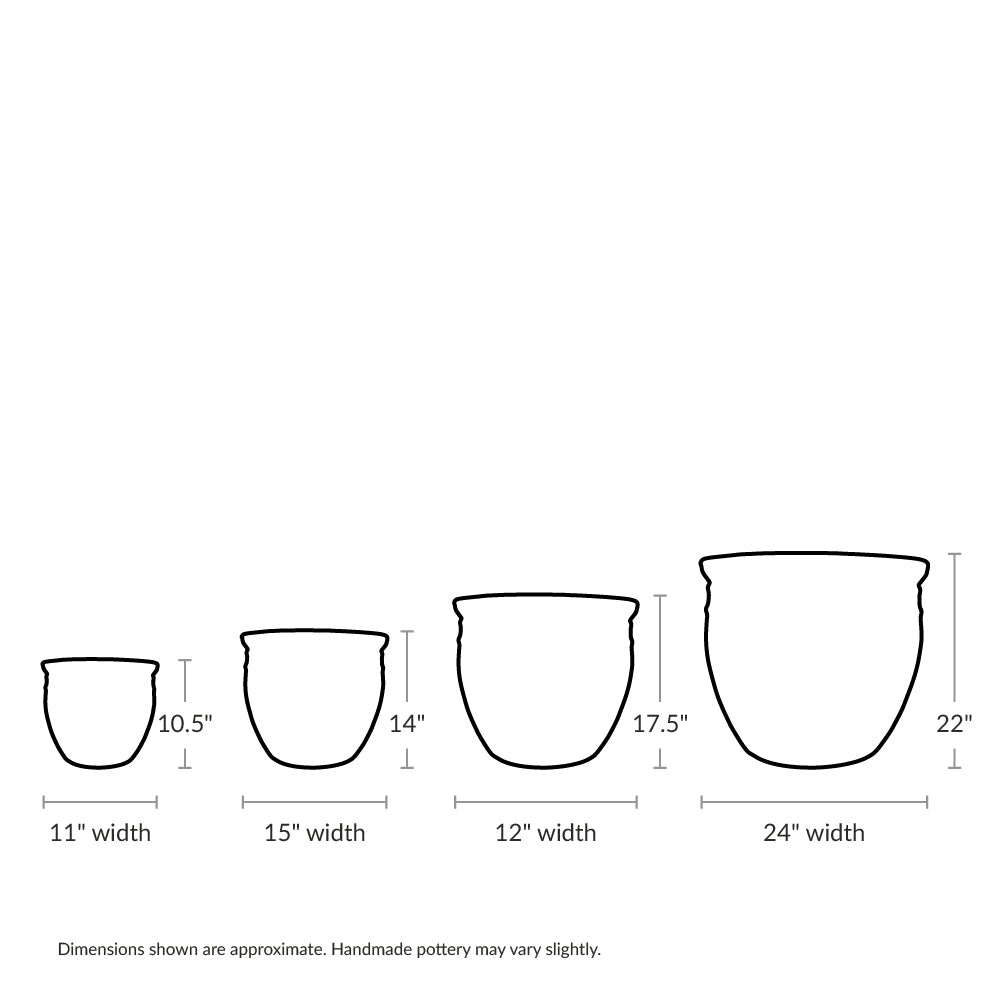 Coin Pot