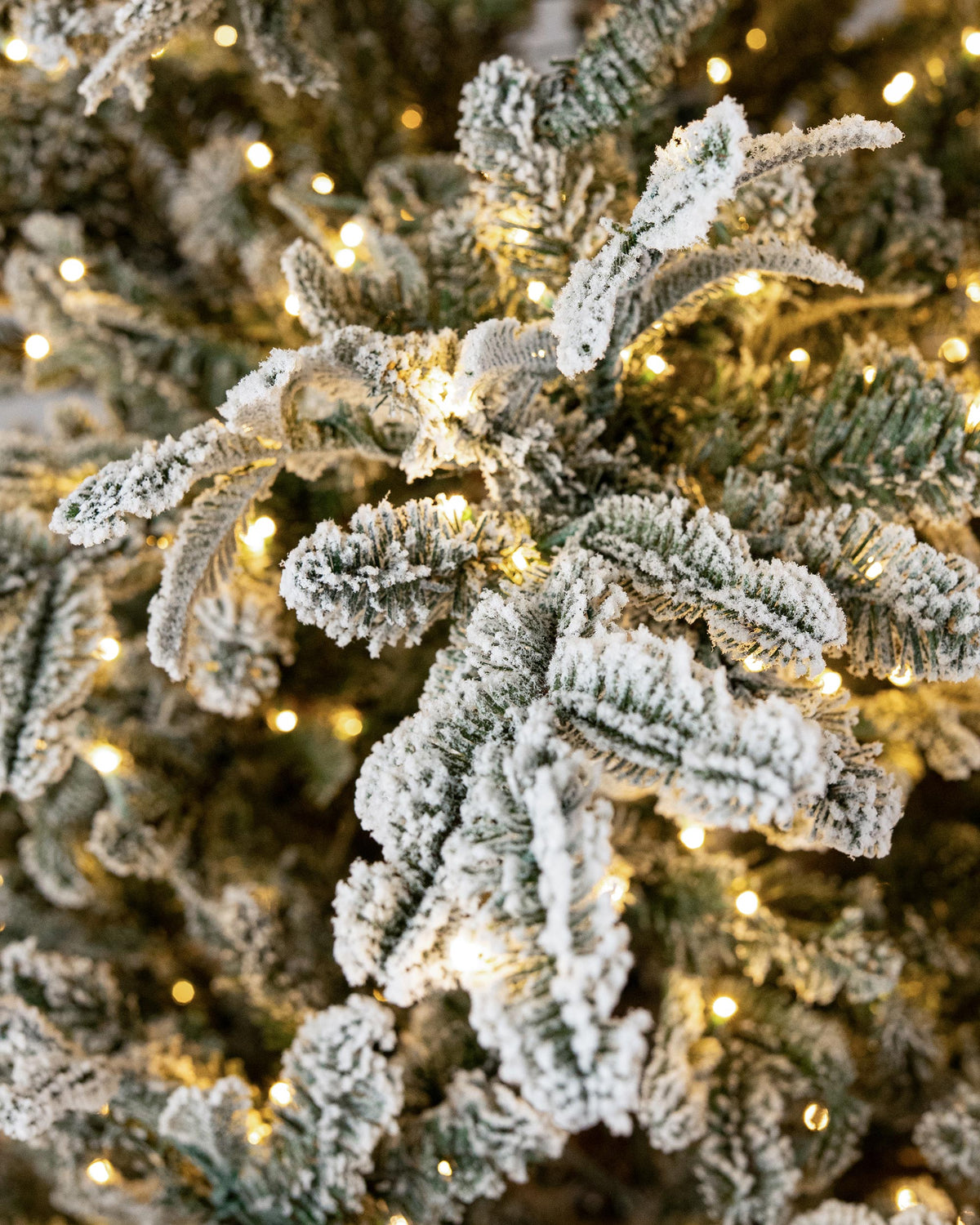 Frosted North Star Deluxe Fir Christmas Tree