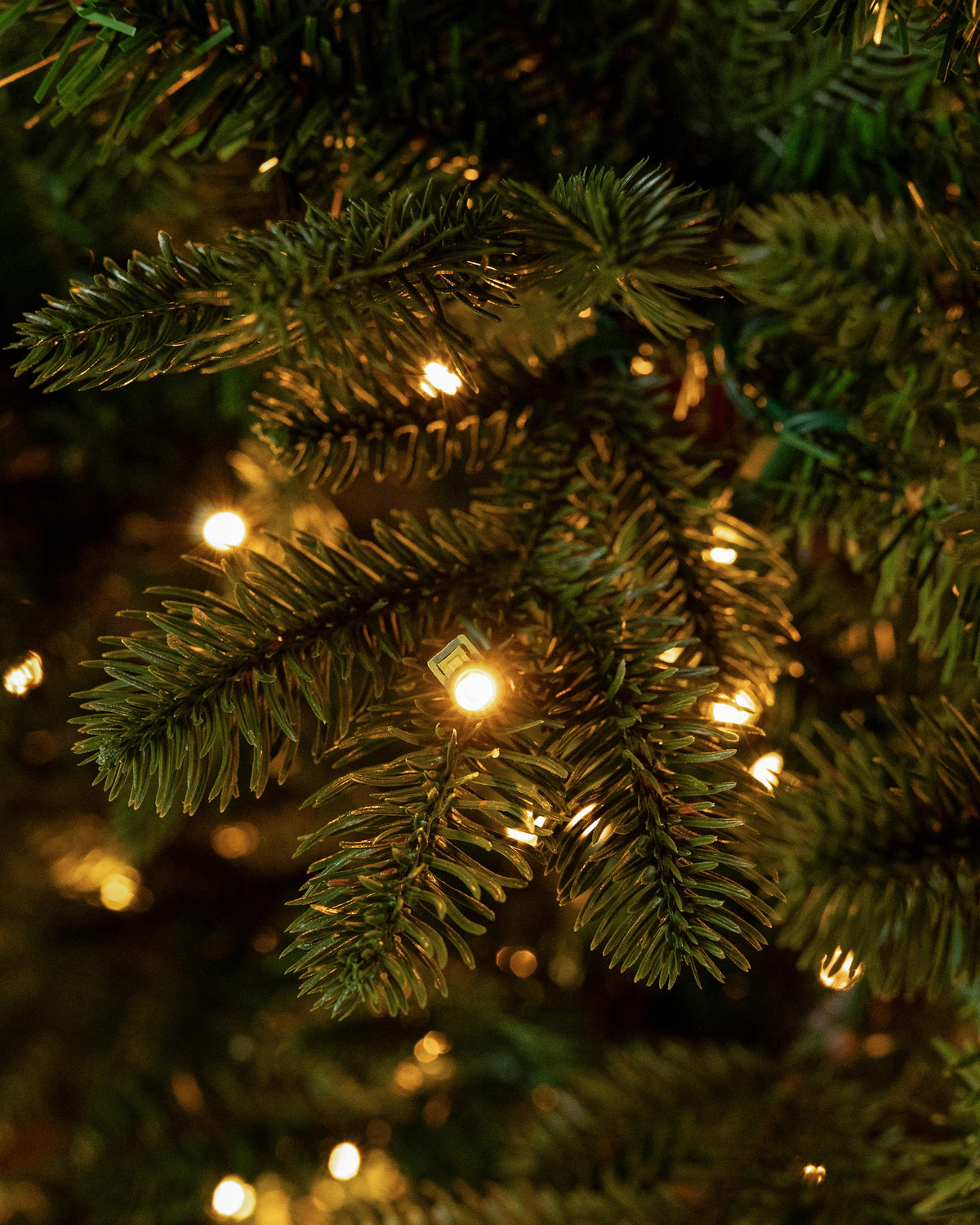 Shenandoah Deluxe Fir Christmas Tree