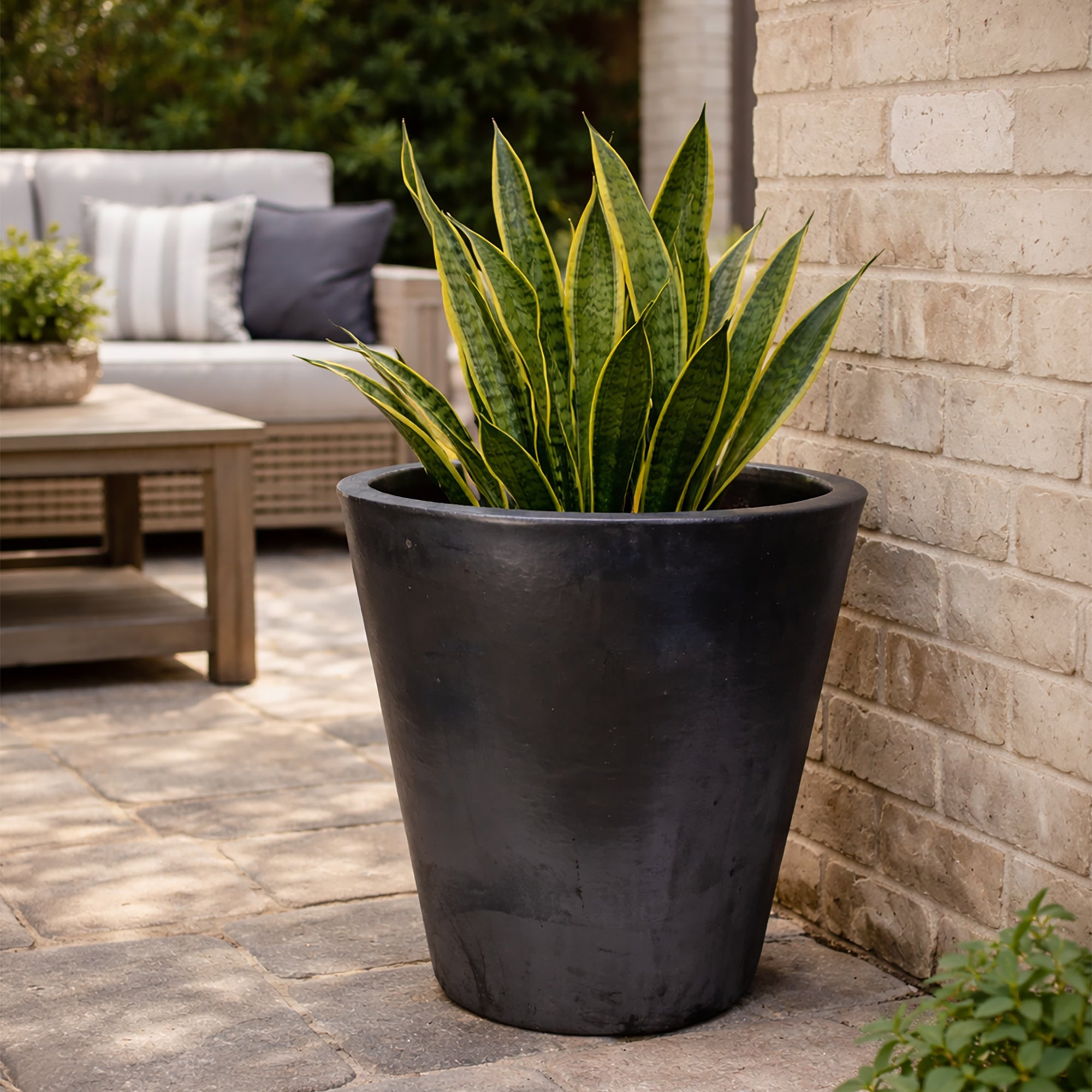 Vaso Planter