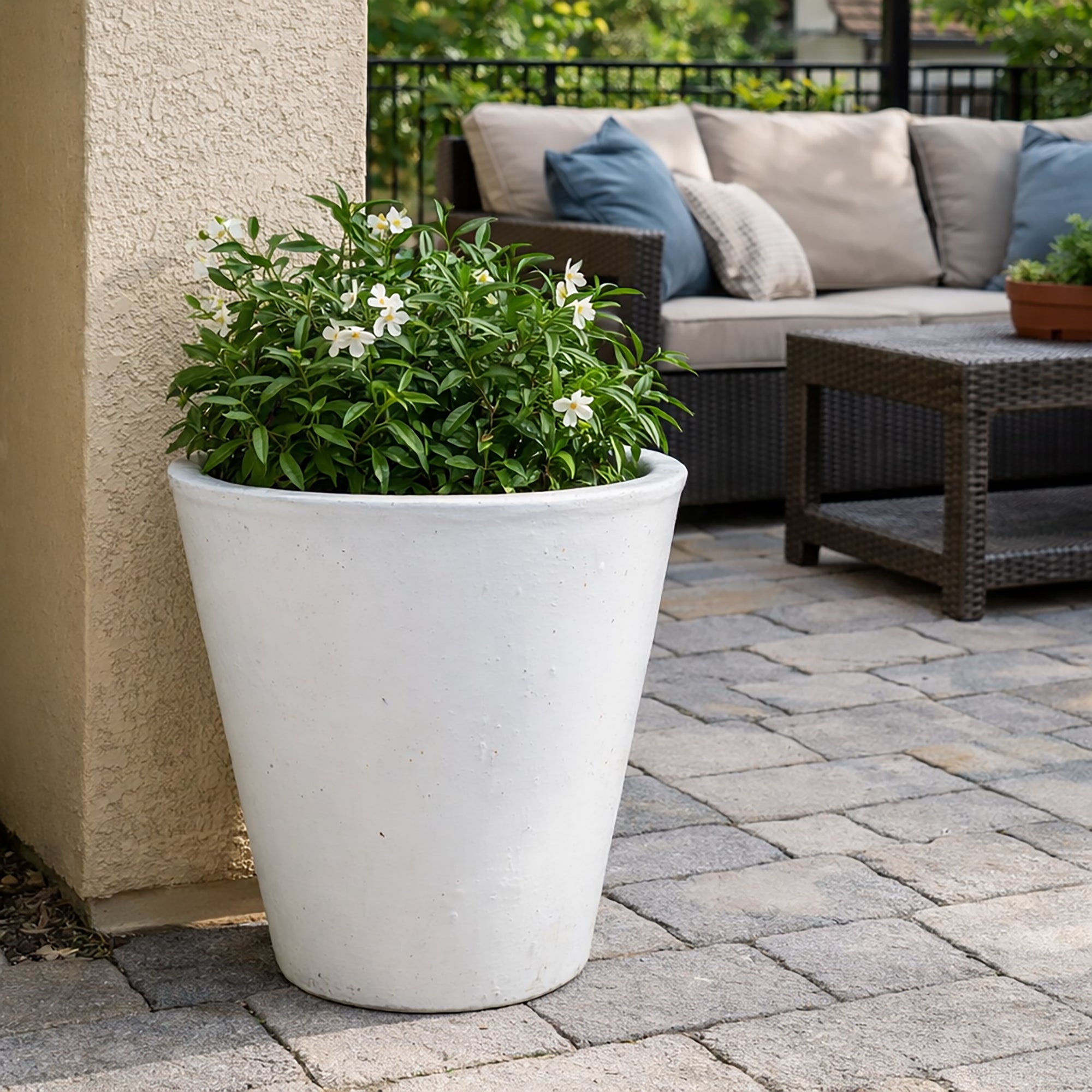 Vaso Planter