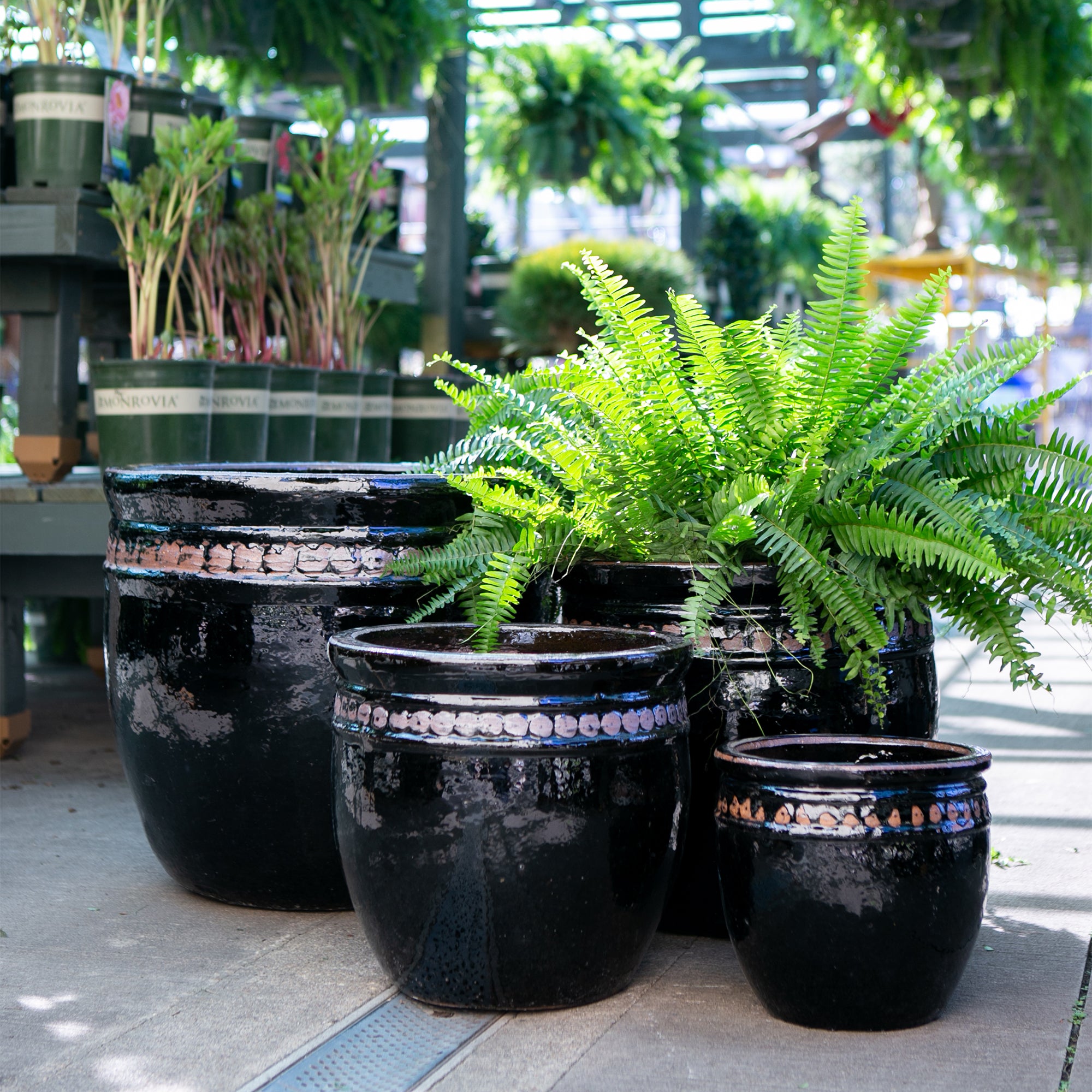 Coin Pot