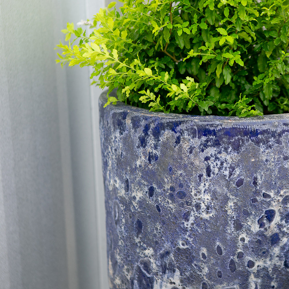 Calypso Vase