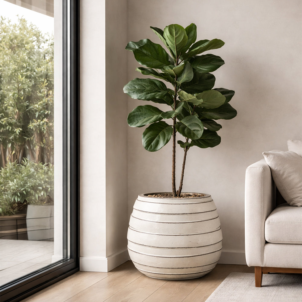 Metropole Planter