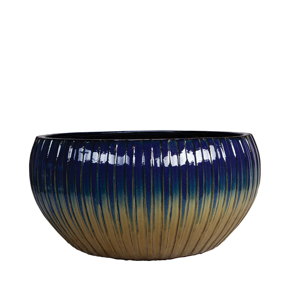 Cirque Bowl