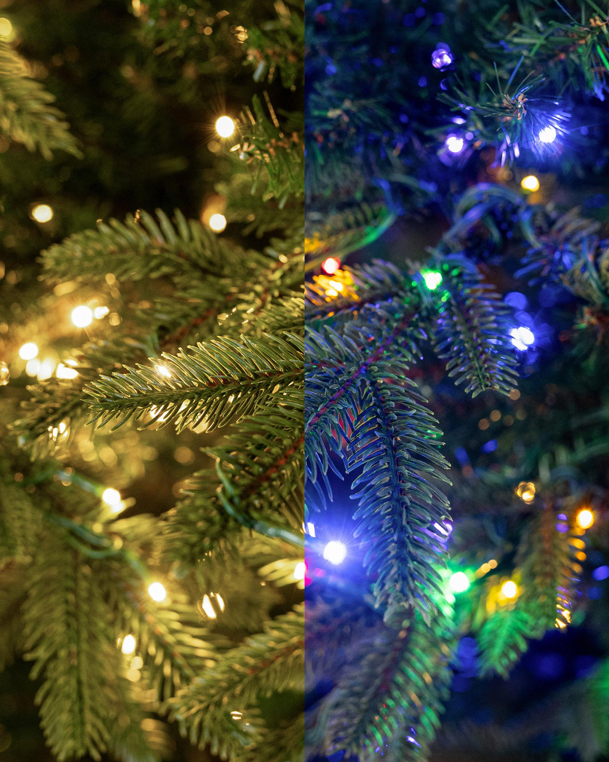 Carolina Deluxe Fir Christmas Tree, Multi-Color